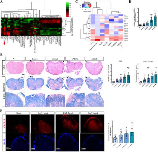 https://cdn.ncbi.nlm.nih.gov/pmc/blobs/ba75/12140337/0df25930cb9b/ADVS-12-2414550-g002.jpg