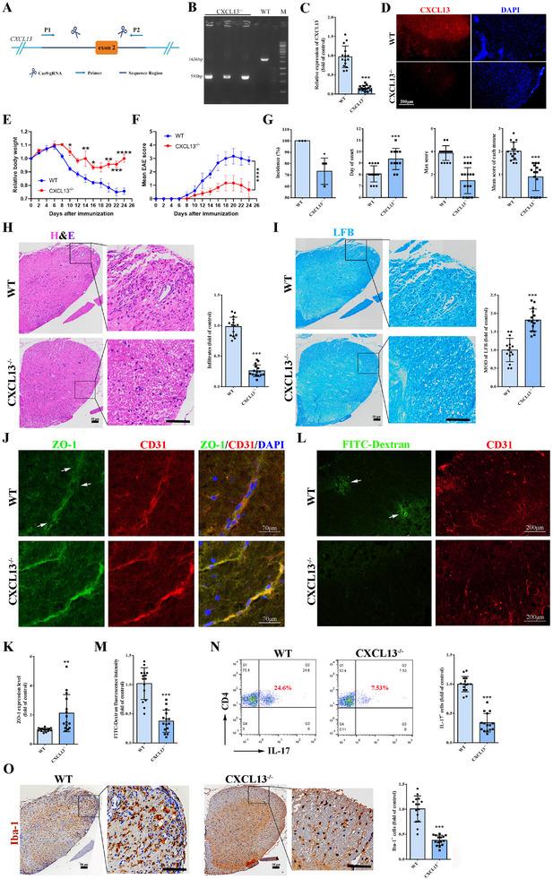 https://cdn.ncbi.nlm.nih.gov/pmc/blobs/ba75/12140337/8c2d76807431/ADVS-12-2414550-g001.jpg