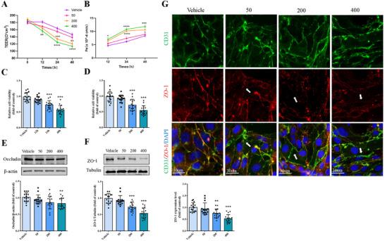 https://cdn.ncbi.nlm.nih.gov/pmc/blobs/ba75/12140337/af930545aa41/ADVS-12-2414550-g007.jpg