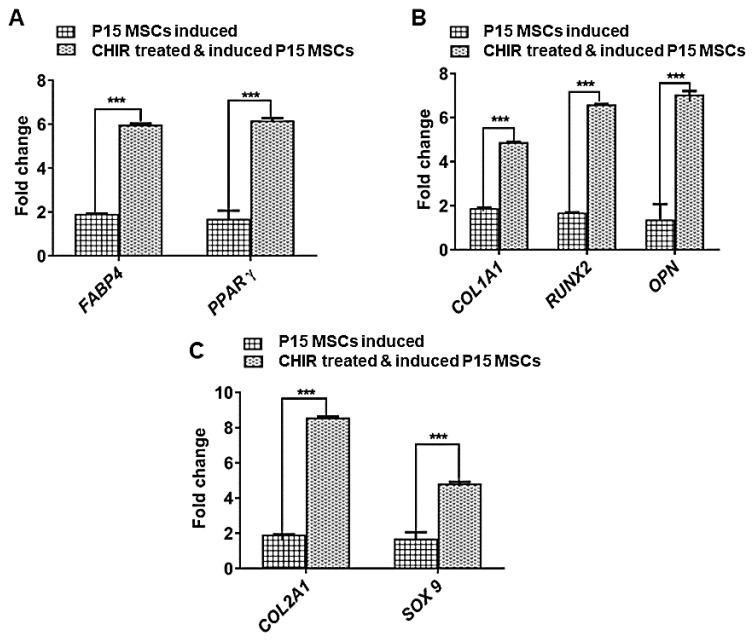https://cdn.ncbi.nlm.nih.gov/pmc/blobs/ba77/12030495/9e9fc04798b9/pharmaceuticals-18-00483-g008.jpg