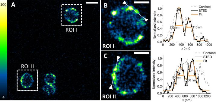 https://cdn.ncbi.nlm.nih.gov/pmc/blobs/ba77/9026257/f1555b2d459e/bc2c00067_0006.jpg