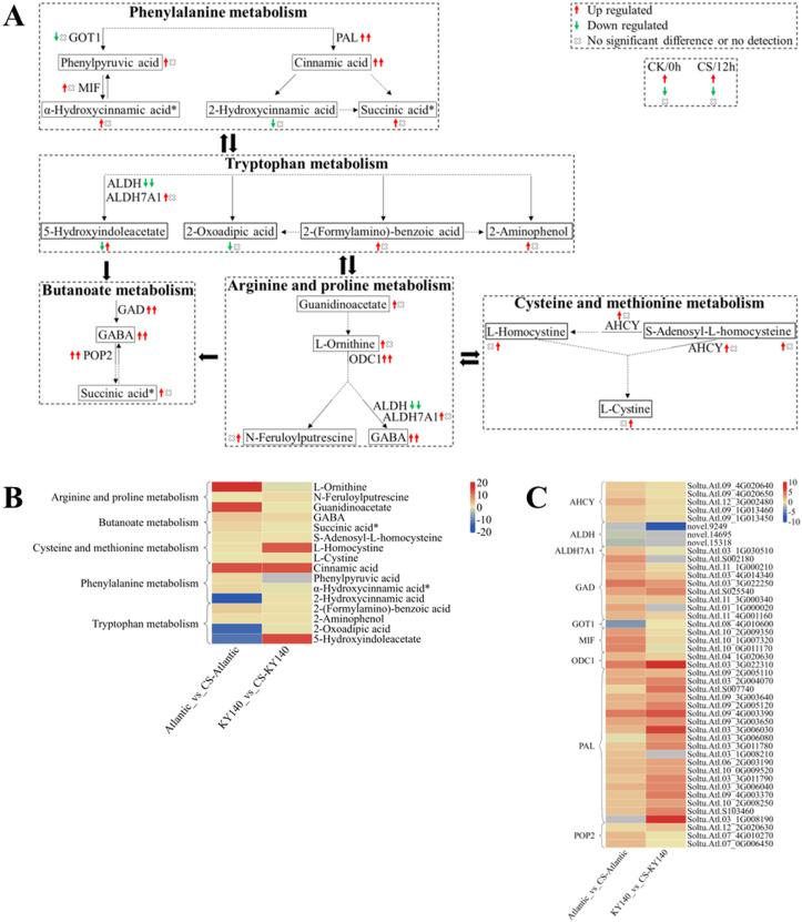 https://cdn.ncbi.nlm.nih.gov/pmc/blobs/ba78/12062144/2de9a77ce52c/fpls-16-1543380-g011.jpg