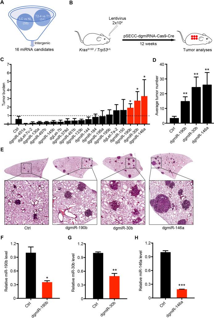 https://cdn.ncbi.nlm.nih.gov/pmc/blobs/ba7a/7660552/7b277bb8e1de/pgen.1009168.g001.jpg