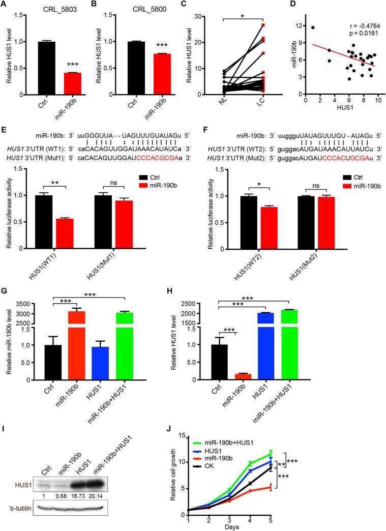 https://cdn.ncbi.nlm.nih.gov/pmc/blobs/ba7a/7660552/9c524d3d6043/pgen.1009168.g004.jpg