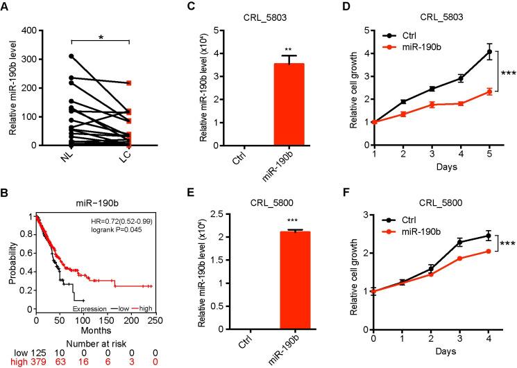 https://cdn.ncbi.nlm.nih.gov/pmc/blobs/ba7a/7660552/f41c2c2571e9/pgen.1009168.g003.jpg
