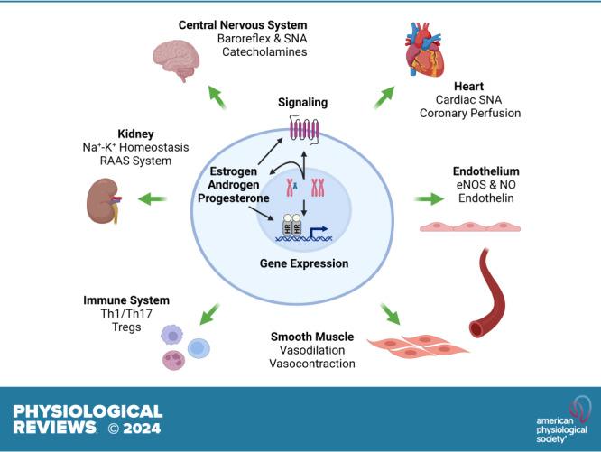 https://cdn.ncbi.nlm.nih.gov/pmc/blobs/ba7b/11281816/a947484074d3/prv-00041-2022r01.jpg