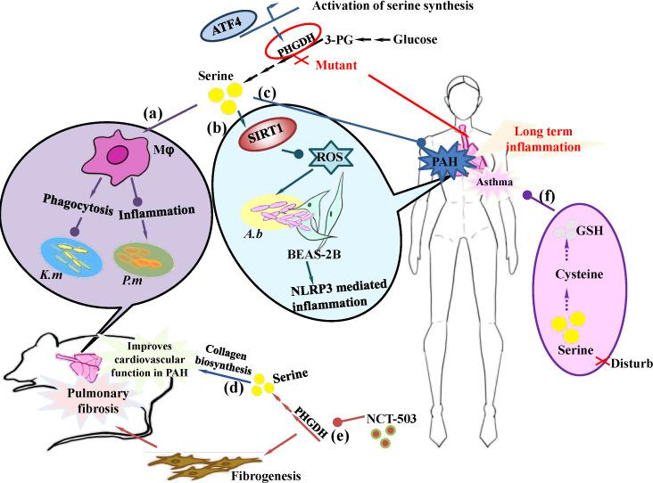 https://cdn.ncbi.nlm.nih.gov/pmc/blobs/ba7b/11897032/2edc2addef03/fcimb-15-1518659-g003.jpg