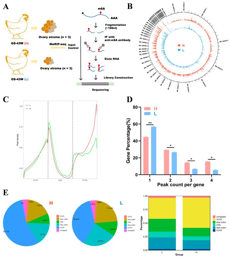 https://cdn.ncbi.nlm.nih.gov/pmc/blobs/ba7c/11855680/9ef89185e524/ijms-26-01677-g002.jpg