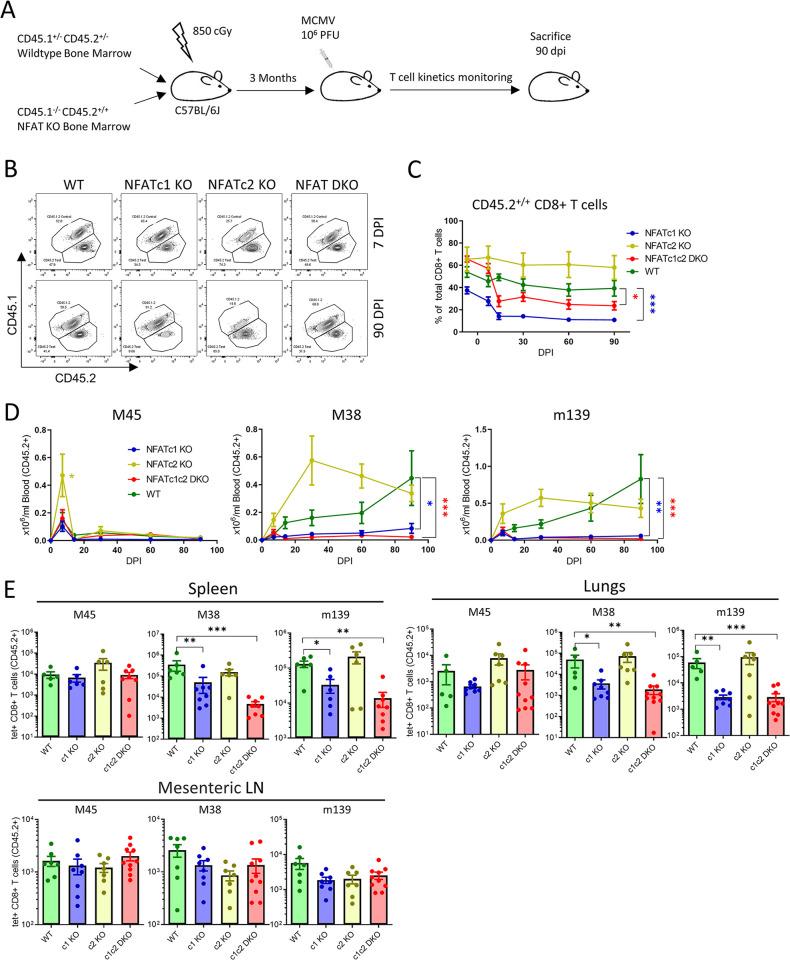 https://cdn.ncbi.nlm.nih.gov/pmc/blobs/ba7e/10890734/4478ca8f3ad3/ppat.1012025.g002.jpg
