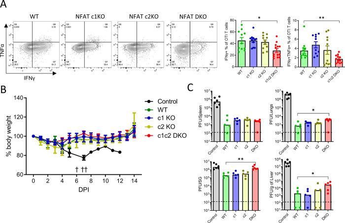 https://cdn.ncbi.nlm.nih.gov/pmc/blobs/ba7e/10890734/84d6c68044e8/ppat.1012025.g006.jpg