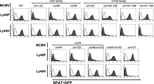 https://cdn.ncbi.nlm.nih.gov/pmc/blobs/ba7f/2699136/e6319331bcea/JEM_20080954_GS_Fig3.jpg