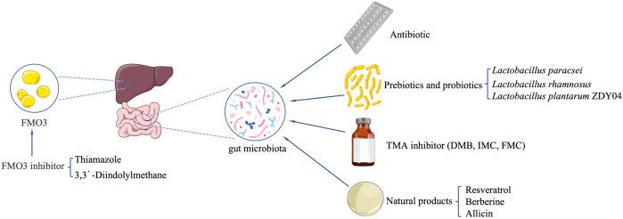 https://cdn.ncbi.nlm.nih.gov/pmc/blobs/ba80/9411716/9e78756b0bf0/fphar-13-929262-g002.jpg