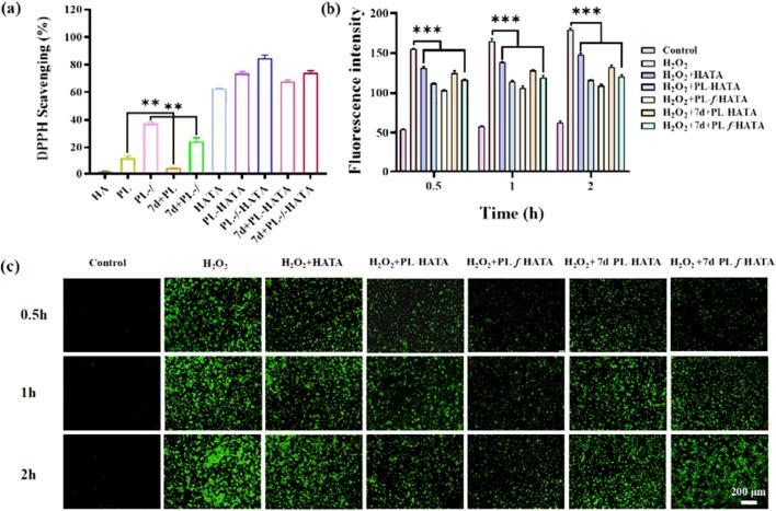 https://cdn.ncbi.nlm.nih.gov/pmc/blobs/ba81/11841398/423da9b7a122/fphar-16-1504120-g003.jpg