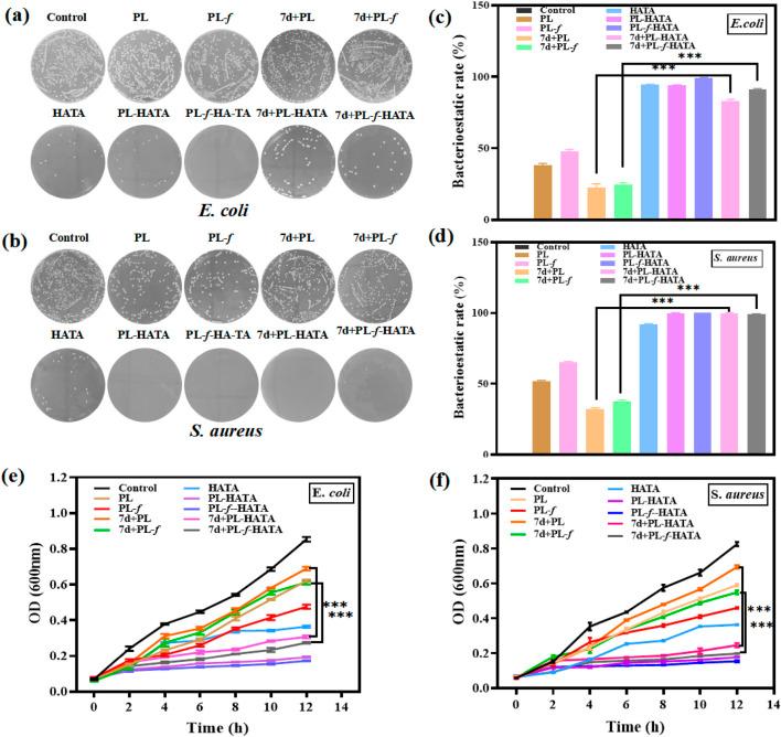 https://cdn.ncbi.nlm.nih.gov/pmc/blobs/ba81/11841398/7a9f9b5cf4a1/fphar-16-1504120-g004.jpg