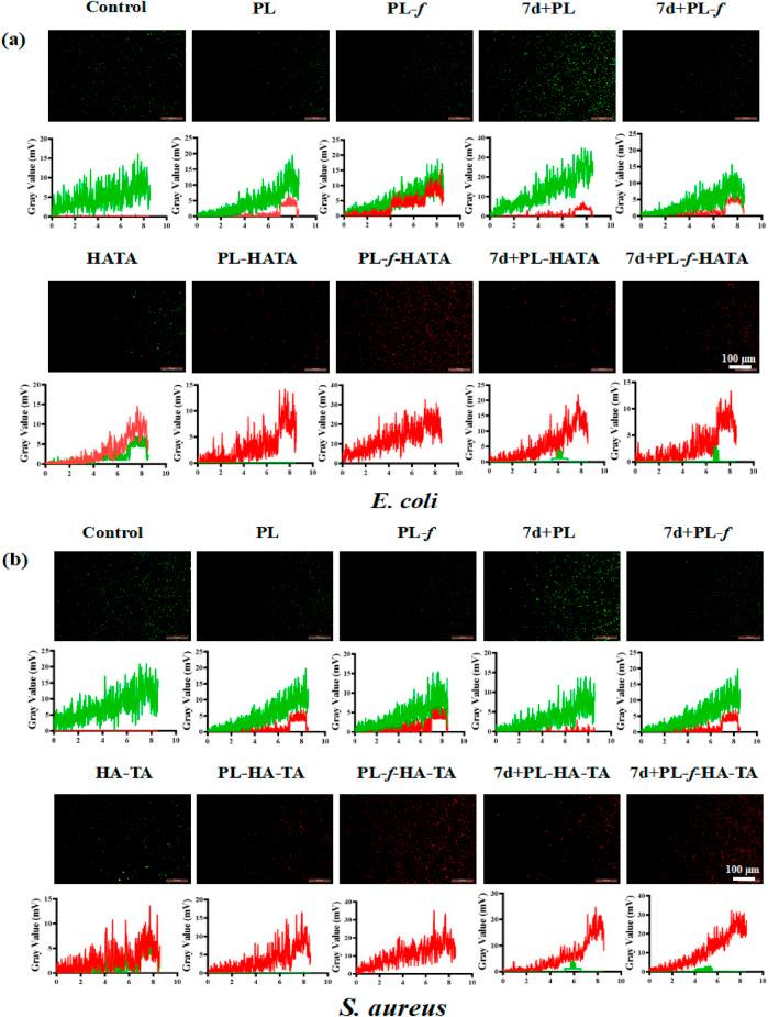 https://cdn.ncbi.nlm.nih.gov/pmc/blobs/ba81/11841398/be5d35882f94/fphar-16-1504120-g005.jpg