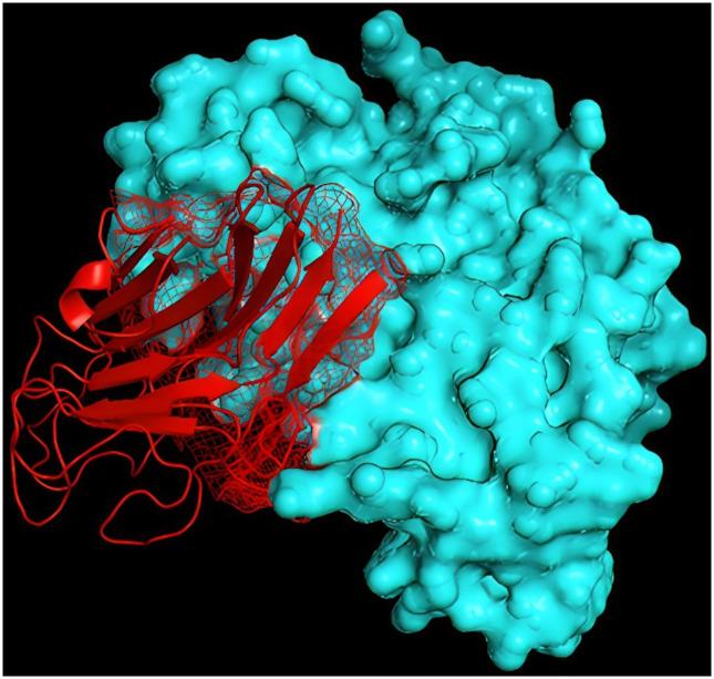 https://cdn.ncbi.nlm.nih.gov/pmc/blobs/ba83/11527181/1d98dc2304d9/pone.0312162.g001.jpg