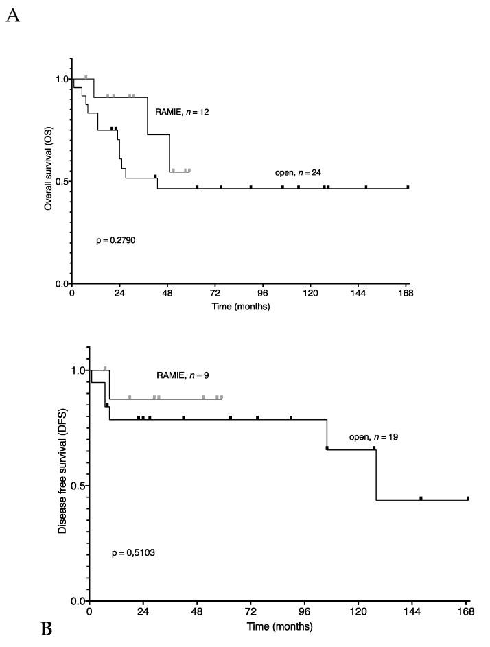 https://cdn.ncbi.nlm.nih.gov/pmc/blobs/ba84/7693702/6001b798a83c/jcm-09-03513-g002.jpg