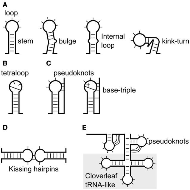 https://cdn.ncbi.nlm.nih.gov/pmc/blobs/ba86/5758548/73a35b26819a/fmicb-08-02582-g0001.jpg
