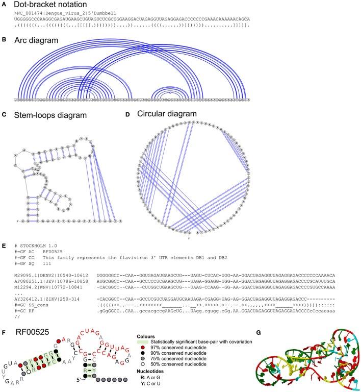 https://cdn.ncbi.nlm.nih.gov/pmc/blobs/ba86/5758548/9fe9a48dd4f2/fmicb-08-02582-g0002.jpg