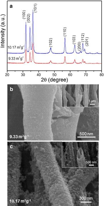 https://cdn.ncbi.nlm.nih.gov/pmc/blobs/ba87/6141877/1074bbce04ec/40580_2017_121_Fig2_HTML.jpg