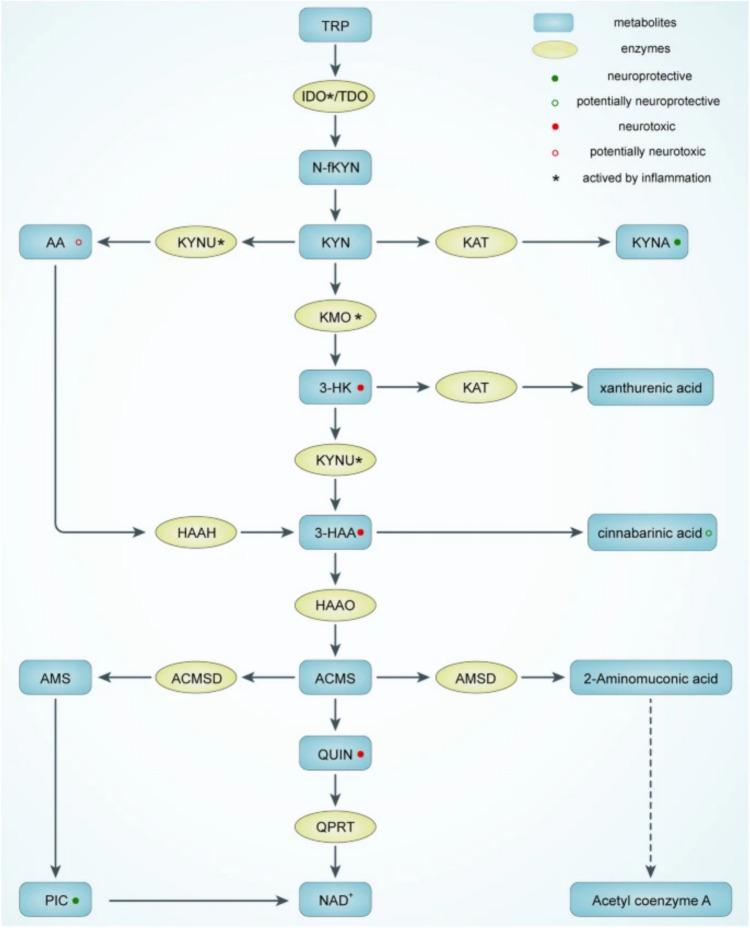 https://cdn.ncbi.nlm.nih.gov/pmc/blobs/ba88/11461658/312ed696196e/10571_2024_1496_Fig3_HTML.jpg