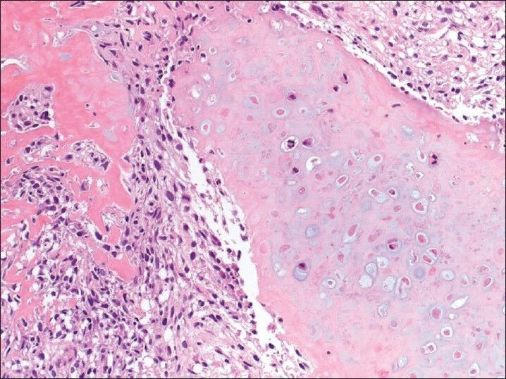 https://cdn.ncbi.nlm.nih.gov/pmc/blobs/ba8a/4127865/bf5e1b015ca1/UA-6-247-g003.jpg