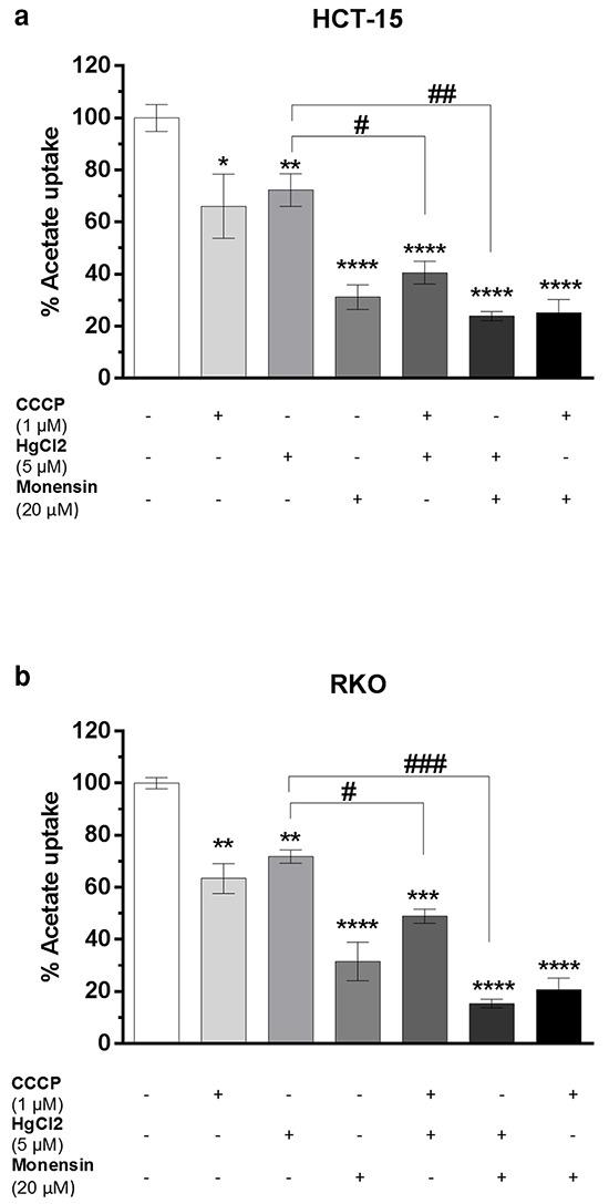 https://cdn.ncbi.nlm.nih.gov/pmc/blobs/ba8a/5342580/4c309e2415b4/oncotarget-07-70639-g002.jpg