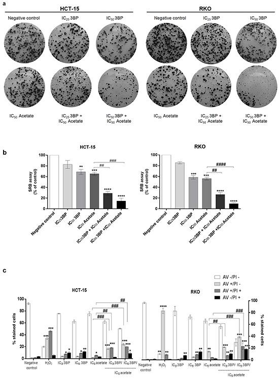 https://cdn.ncbi.nlm.nih.gov/pmc/blobs/ba8a/5342580/b3921939d1a1/oncotarget-07-70639-g007.jpg