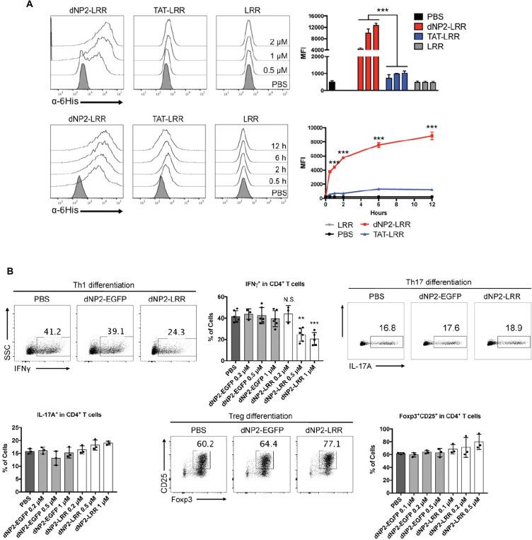 https://cdn.ncbi.nlm.nih.gov/pmc/blobs/ba8b/10790641/7f45cee80030/IJN-19-367-g0005.jpg