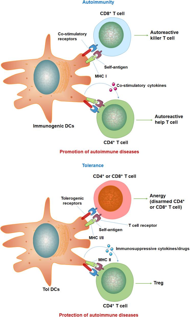https://cdn.ncbi.nlm.nih.gov/pmc/blobs/ba8b/10790641/ad772cafc00a/IJN-19-367-g0001.jpg