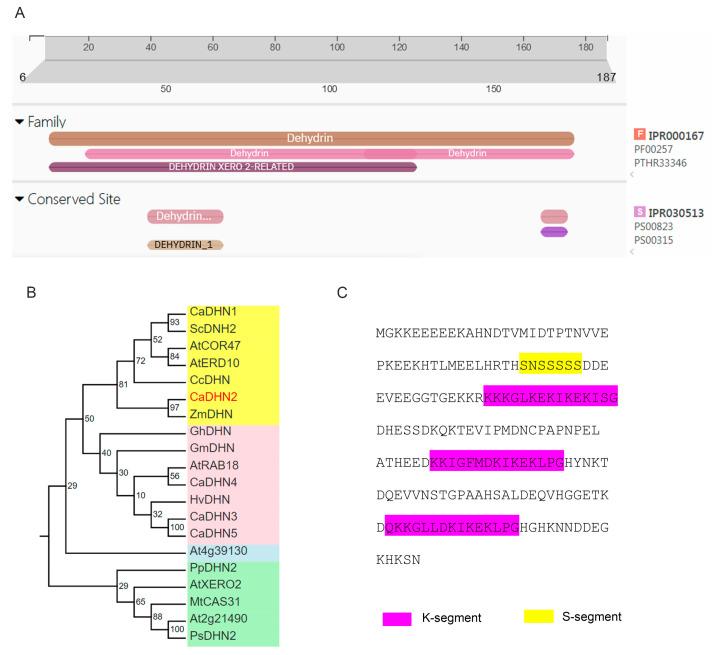 https://cdn.ncbi.nlm.nih.gov/pmc/blobs/ba8c/10675185/f0ee18f670ab/plants-12-03895-g001.jpg