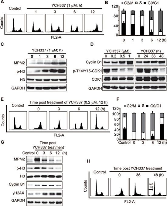 https://cdn.ncbi.nlm.nih.gov/pmc/blobs/ba8e/4496195/a3c888ff20f9/oncotarget-06-8960-g004.jpg