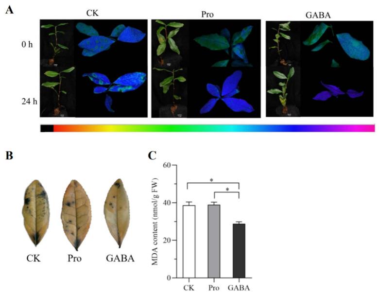 https://cdn.ncbi.nlm.nih.gov/pmc/blobs/ba8f/11988676/0049b7764b93/ijms-26-03121-g006.jpg