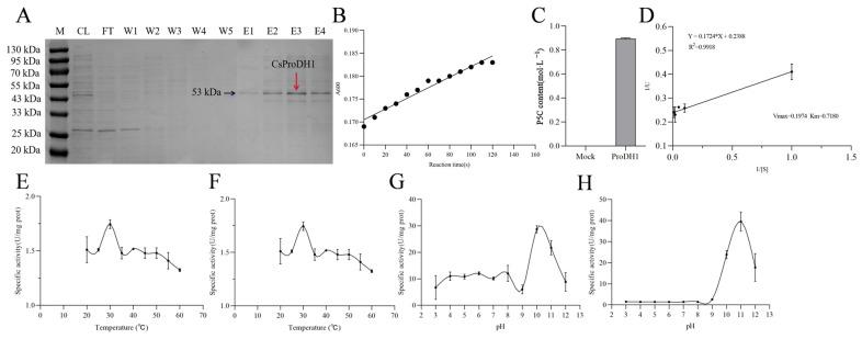 https://cdn.ncbi.nlm.nih.gov/pmc/blobs/ba8f/11988676/8513fdabb351/ijms-26-03121-g002.jpg