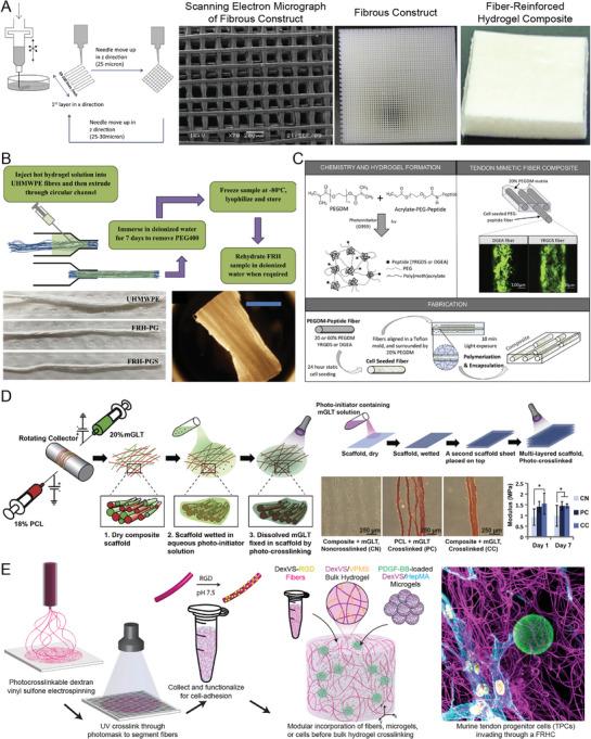 https://cdn.ncbi.nlm.nih.gov/pmc/blobs/ba90/11582515/8082bd7a8b70/ADHM-13-0-g008.jpg