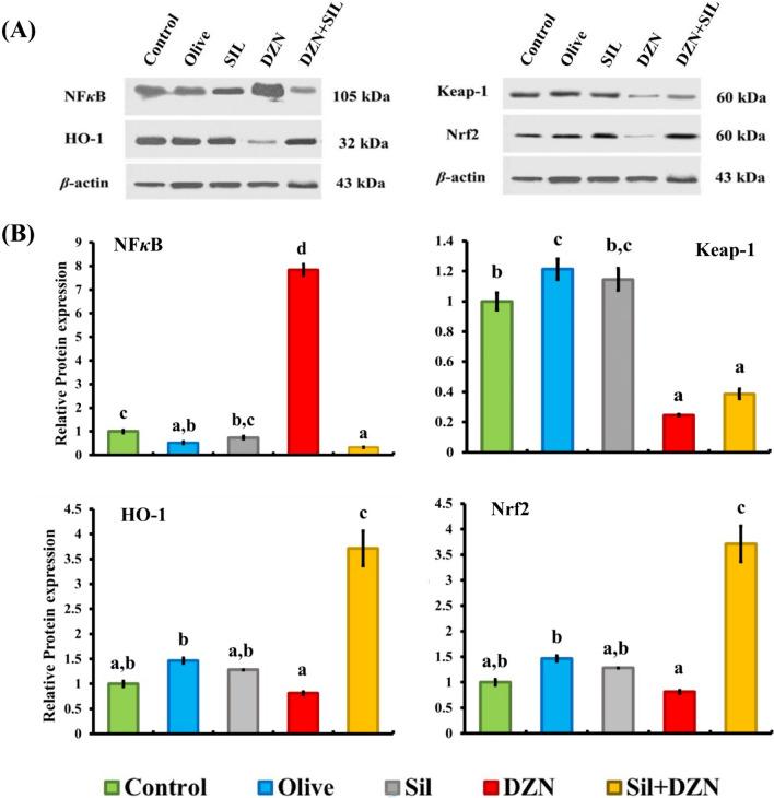 https://cdn.ncbi.nlm.nih.gov/pmc/blobs/ba90/11782450/04f7e1b05d7f/11419_2024_697_Fig1_HTML.jpg