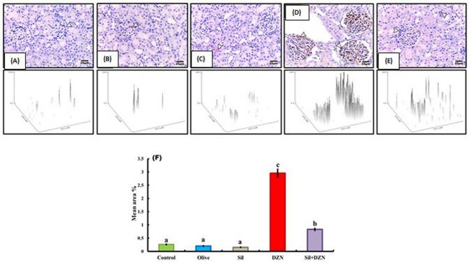 https://cdn.ncbi.nlm.nih.gov/pmc/blobs/ba90/11782450/837de703c554/11419_2024_697_Fig4_HTML.jpg