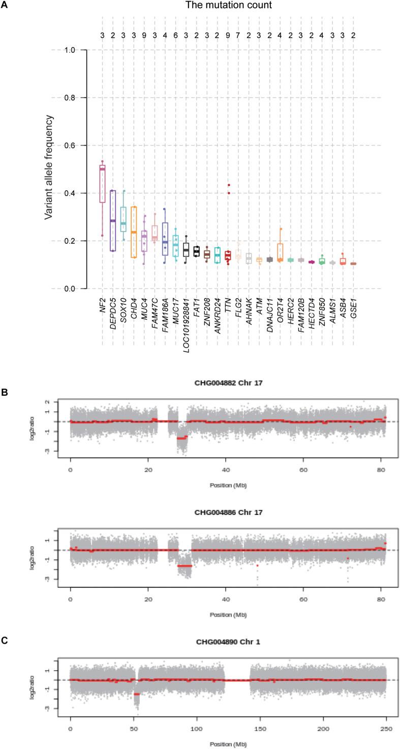 https://cdn.ncbi.nlm.nih.gov/pmc/blobs/ba93/7661748/7a700a154906/fgene-11-507816-g003.jpg