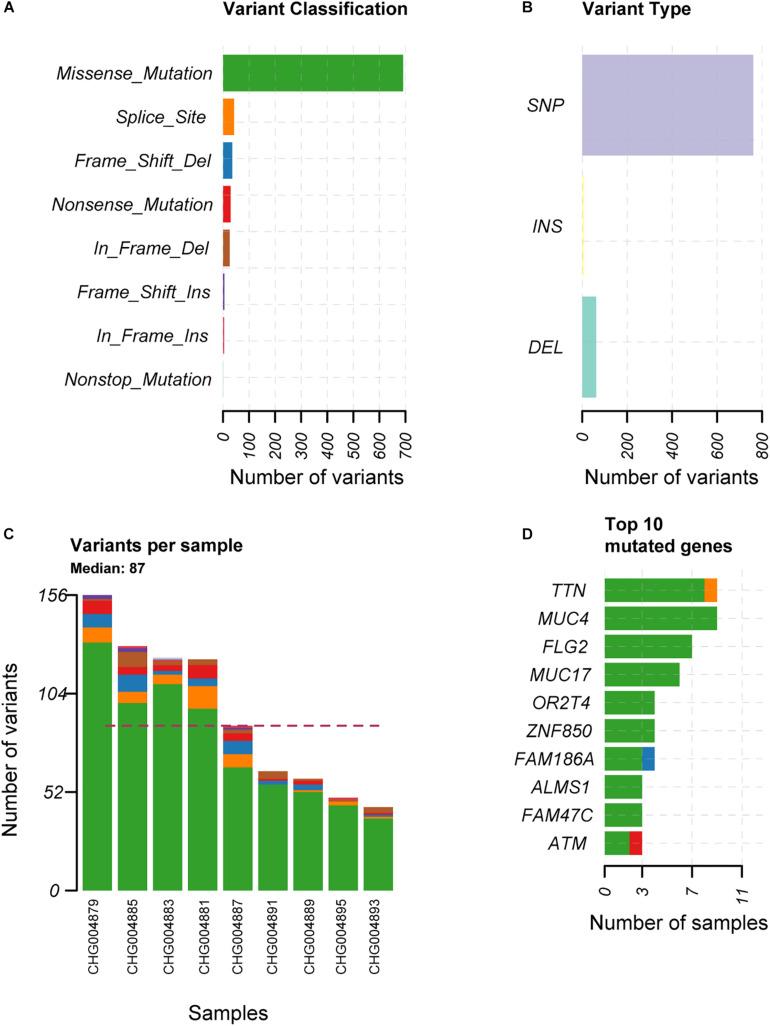 https://cdn.ncbi.nlm.nih.gov/pmc/blobs/ba93/7661748/883bfda5b599/fgene-11-507816-g001.jpg