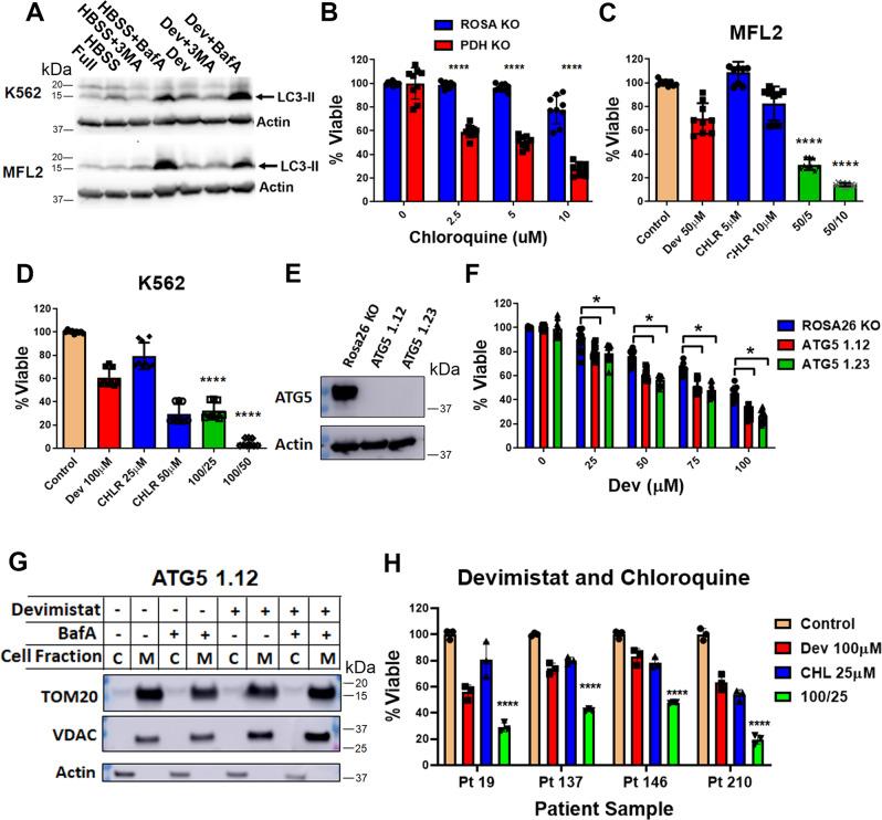 https://cdn.ncbi.nlm.nih.gov/pmc/blobs/ba98/8967916/8b0ae09e4f95/41467_2022_29039_Fig5_HTML.jpg