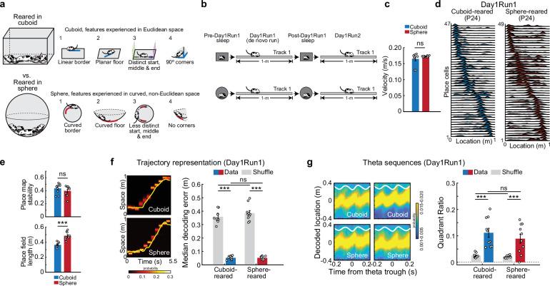 https://cdn.ncbi.nlm.nih.gov/pmc/blobs/ba99/11438871/459b43034549/41467_2024_52758_Fig1_HTML.jpg