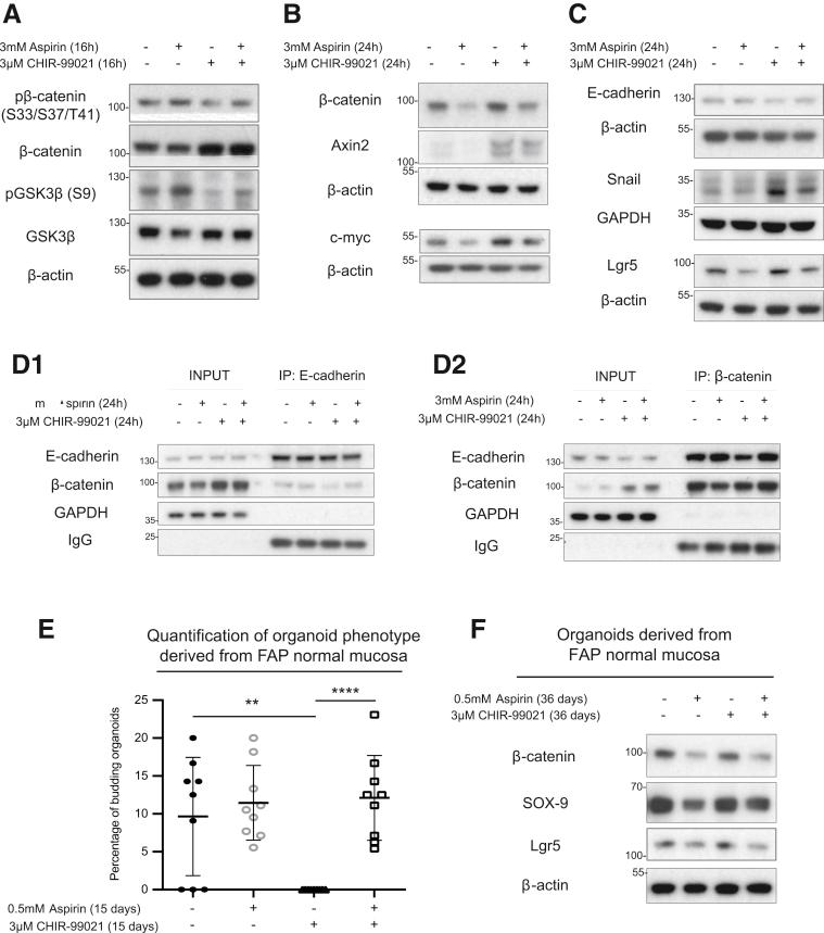 https://cdn.ncbi.nlm.nih.gov/pmc/blobs/ba9f/7797380/14cfb52bfe70/gr10.jpg