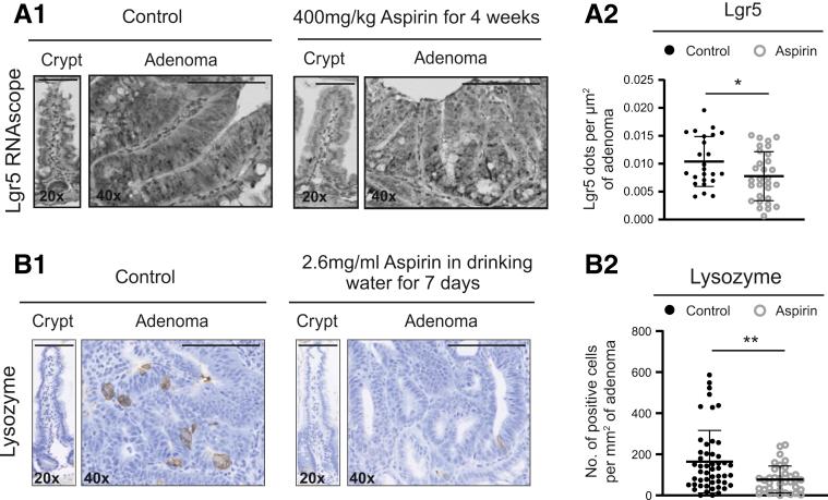 https://cdn.ncbi.nlm.nih.gov/pmc/blobs/ba9f/7797380/21c80adab697/gr4.jpg