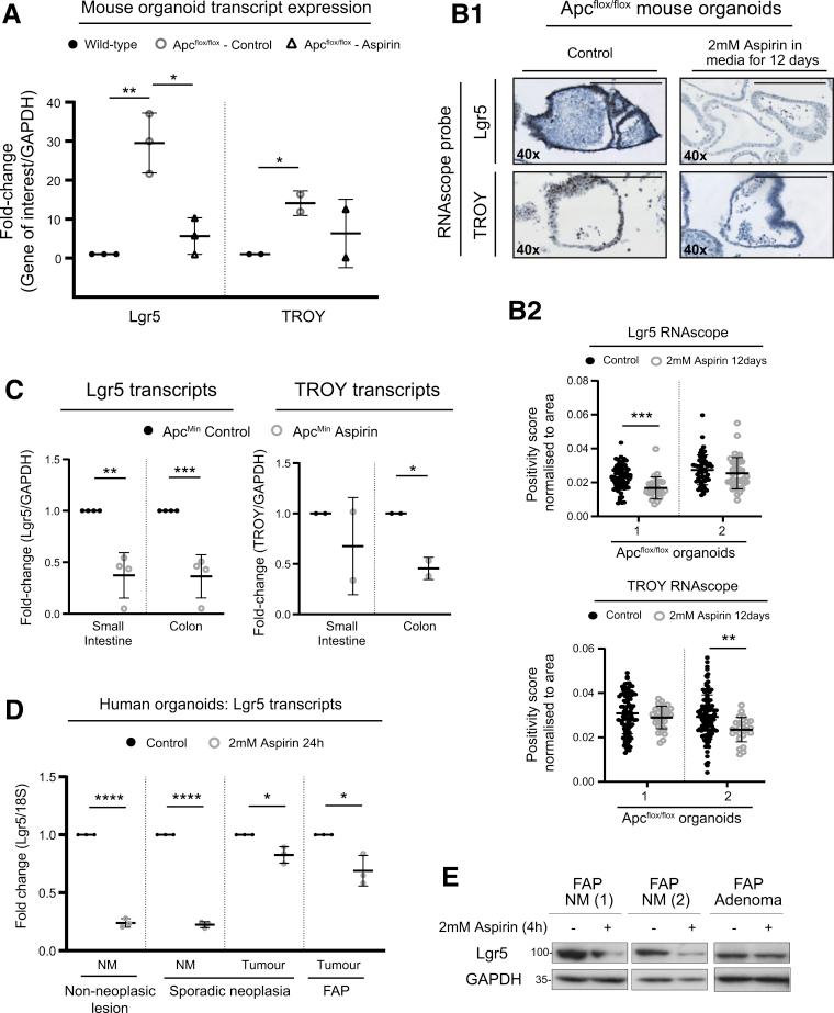 https://cdn.ncbi.nlm.nih.gov/pmc/blobs/ba9f/7797380/4ab88c0c22b5/gr3.jpg