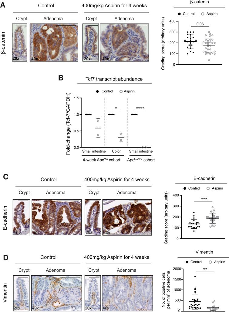 https://cdn.ncbi.nlm.nih.gov/pmc/blobs/ba9f/7797380/56665dff4b3b/gr5.jpg