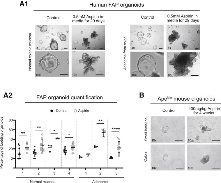 https://cdn.ncbi.nlm.nih.gov/pmc/blobs/ba9f/7797380/6e8d159ee98e/gr2.jpg