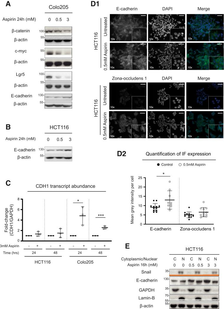 https://cdn.ncbi.nlm.nih.gov/pmc/blobs/ba9f/7797380/736538281bf6/gr6.jpg
