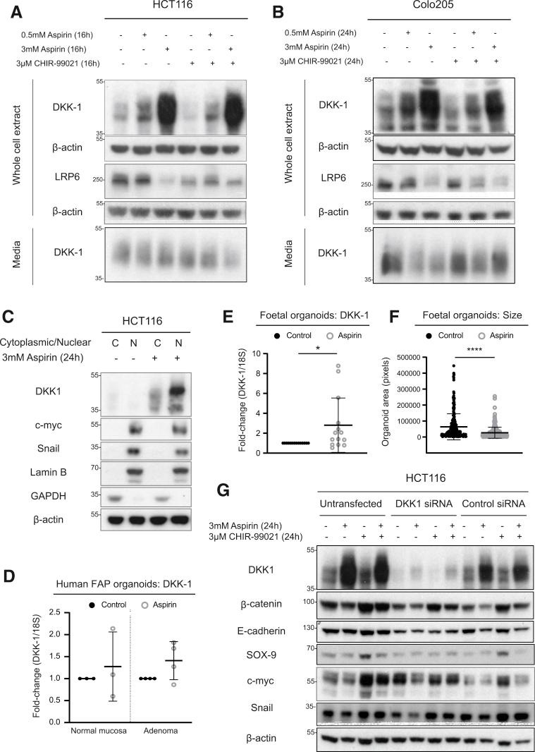 https://cdn.ncbi.nlm.nih.gov/pmc/blobs/ba9f/7797380/dd248ea2b4d1/gr11.jpg