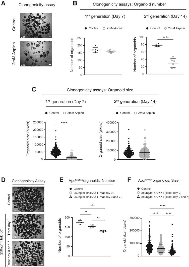 https://cdn.ncbi.nlm.nih.gov/pmc/blobs/ba9f/7797380/e129a9e3fcb2/gr12.jpg