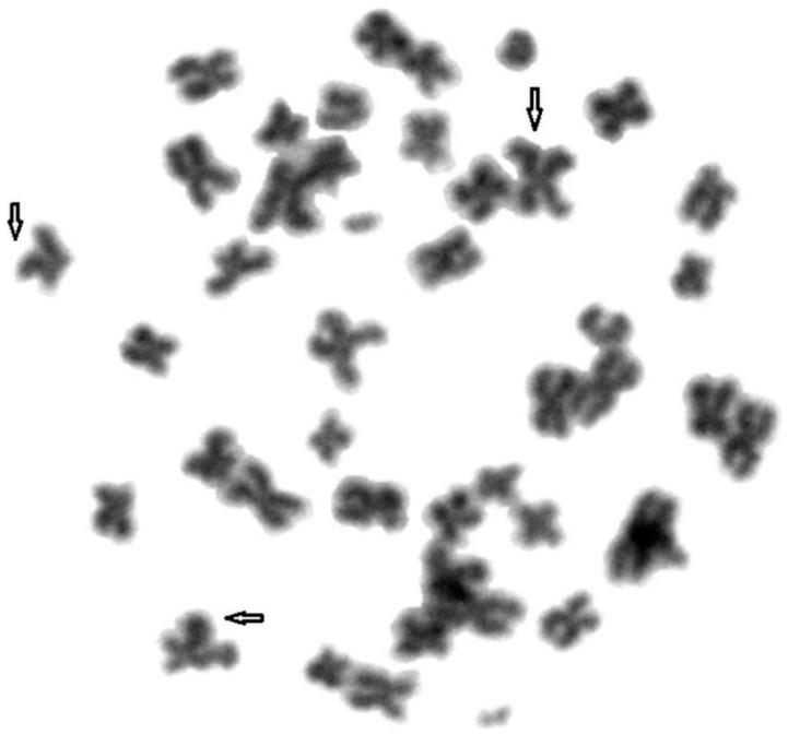 https://cdn.ncbi.nlm.nih.gov/pmc/blobs/ba9f/8230692/aba217743f3a/animals-11-01743-g003.jpg
